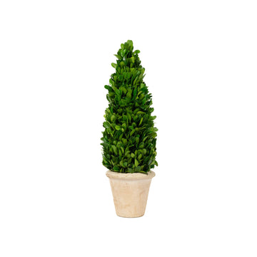 Mills Floral Company 850SS0620 Cone Topiary, 5" x 5" - Default Title