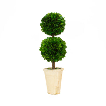 Mills Floral Company 855SS0120 Ball Topiary, 6" Diameter - Default Title