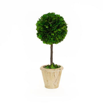 Mills Floral Company Ball Topiary - 5"