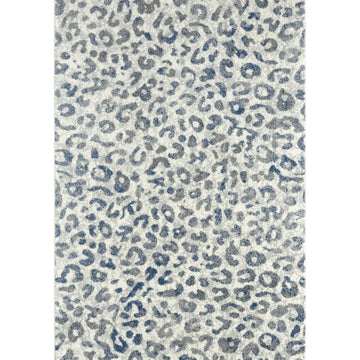 Abani CAS310A-6 Polypropylene Area Rug, 72" x 108", Gray - Default Title