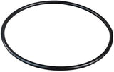 Replacement For Compatible With Everpure O-Ring 1511-20