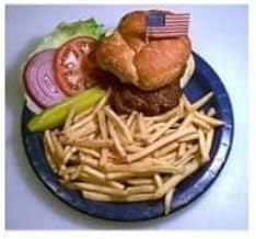Thick N Juicy Old Fashioned Style 3-1 Beef Patty Hamburger, 45 Pieces of 5.33 Ounce, 15 Pound -- 1 each.