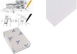 Canson Bristol Paper, 750 x 1.100 mm, 250 g/m2, White