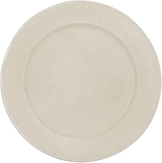 CAC China CAC Melamine Jasper Plate Rolled Edge Ivory Blue Speckle 10 1/2", Box of 24