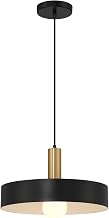 23798-BWA Slate - 1 Light Pendant-8 Inches Tall and 13.75 Inches Wide, Finish Color: Black/Antique Brushed Brass