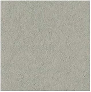 Strathmore 400 Series Toned Sketch Sheet, 80 lb. Paper, 19 X 24 inches, Gray (413-119)
