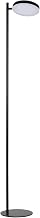 Dainolite Fia 1 Light LED Floor Lamp - Matte Black