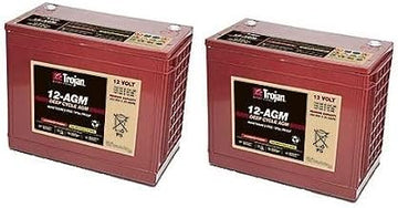 Tennant Speed Scrub 300 24 Volts 2-Pack