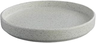G.E.T. 6" Rustic Corona Cosmos Orion Dinner Plate (Set of 12)
