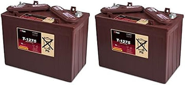 Replacement for Tennant T300E 24 Volts 2 Pack
