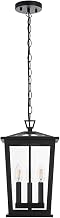 Elegant Lighting Berks 7" Outdoor Pendant in Black