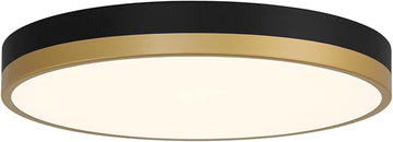 20823LEDD-BWA/WHT Coco - 30W 1 LED Flush Mount-3 Inches Tall and 15 Inches Wide, Finish Color: Black/Antique Brushed Brass