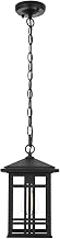 Elegant Lighting Harley 12" Outdoor Pendant in Black
