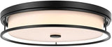 Kolson 20" Led Flush Mount in Black