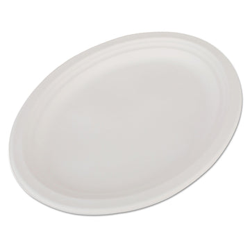 Southern Champion Tray 18560 ChampWare Molded Fiber White Heavy Weight Pulp Platter – 12-1/2-in. L x 10-in. W (Case of 500)