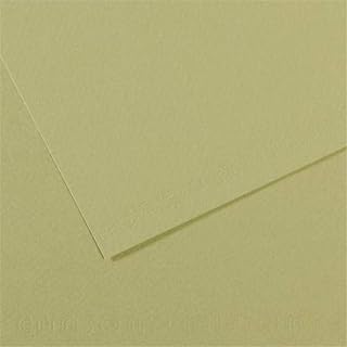 Canson Mi-Teintes Drawing Paper - 19" x 25", Light Green, Single Sheet
