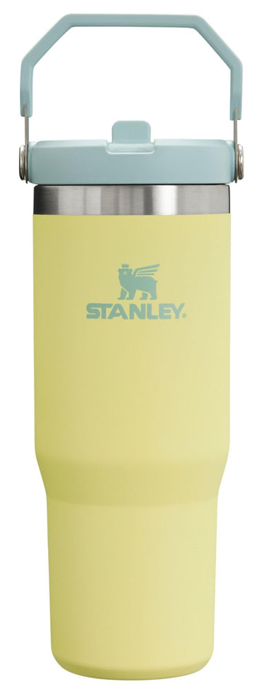IceFlow Flip Straw Tumbler with Handle 30 oz | Twist On Lid and Flip Up Straw | Leak Resistant Water Bottle | Insulated Stainless Steel |BPA-Free | Pomelo by STANLEY – Model