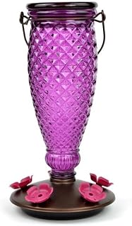 Perky-Pet Diamond Wine Top Fill Glass Hummingbird Feeder, 24 oz Capacity | Built-in Bee Guards for Outdoors, Purple Hanging Wild Bird Feeder, Easy to Clean