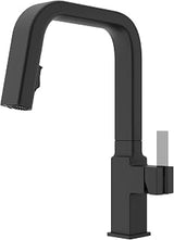Pfister GT529-VRV Verve 1.8 GPM Single Hole Pull Down Kitchen Faucet - Less Handle