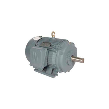 T-Frame Motor by Worldwide Electric – Copper, Multicolor, Model PEWWE75-12-405T