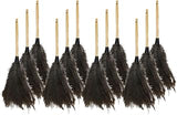 Genuine Joe Feather Duster (Pack of 12)