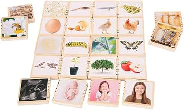TickiT Wooden Lifecycle Tiles