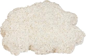 4-1 Breaded Chuckwagon Beef Patty Fritter, 40 Pieces of 4 Ounce, 10 Pound -- 1 each.