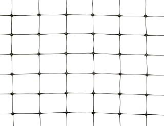 Bird B Gone Garden Bird Netting, 1/4" Mesh, 14'x100', Black