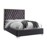 Velvet-Upholstered Platform Bed with Button-Tufted Panel Headboard by Starlight Canyon Home – Polyester, Grey Velvet