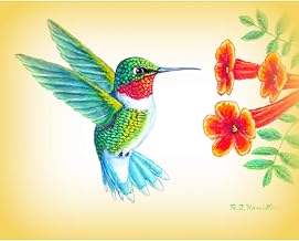 PM1093 Dicks Hummingbird Place Mat - Set of 4