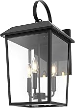 ELEGANT Lighting Riggs 11 inch Outdoor Wall Sconce in Black