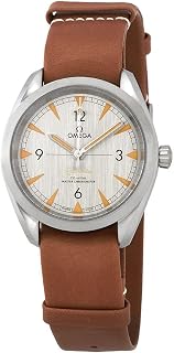 Omega Seamaster Railmaster Brushed Grey Dial Automatic Men's Watch 220.12.40.20.06.001