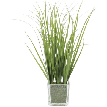 Artificial Grass in Glass Vase Green Plastic - 15"H by ALLSTATE FLORAL AND CRAFT, INC. – Glass, Green, Model LQG015-GR