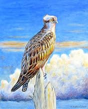 Interiors Osprey Storm Beach Towel