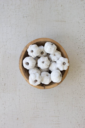 Bag of Fifteen Dried Orange Miniature Pumpkins - White by KALALOU – Model NSBE1025