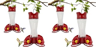 Perky-Pet 203CPBN-2 Glass Hummingbird Feeders for Outdoors with Perches,Ant Moat,Bee Guards -,2 Count (Pack of 2)