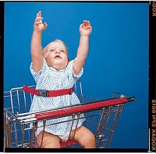 Shopping Cart Warning Imprinted Black Nylon Infant Safety Belt - 21"L, 12 per Box