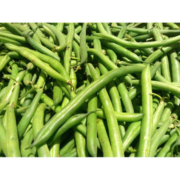 Commodity Canned Fruit and Vegetables Extra Standard 4 Sieve Green Bean – Commercial Grade