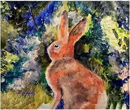 Betsy Drake Cottontail Throw