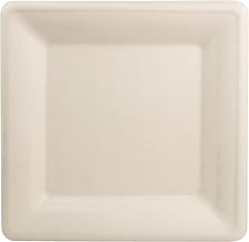 World Centric Compostable Square Paper Plates, 10 Inch (Pack of 500) | Made from Unbleached Plant Fiber, Sustainable, Heavy Duty, Grease Resistant, Microwave & Freezer Safe, No Added PFAS