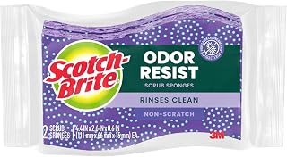 Scotch-Brite Odor Resist Non-Scratch Scrub Sponge, Dishwasher-Safe Kitchen Sponges that Resist Bacterial Odors, Multipurpose Dish Sponge for Gentle Cleaning, 24 Dish Sponges