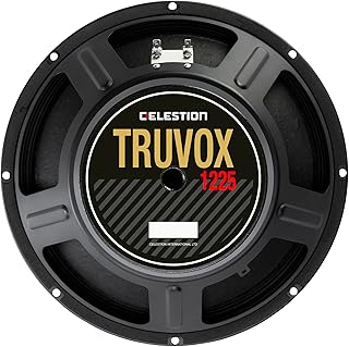 Truvox 1225 Pro Audio Speaker
