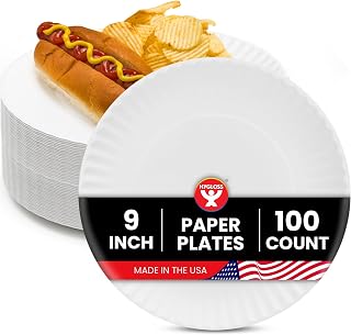 Hygloss Bulk Paper Plates 9-Inch-Uncoated Large Plain White Disposable Plates for Party,Dinner,Foodware,Events,Crafts & More-Environmentally Friendly-Recyclable & Microwave Safe,100 Count (Pack of 12)