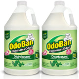 Disinfectant Concentrate and Odor Eliminator by OdoBan – 128 Fl Oz (Pack of 2), Clear, Model 911061