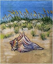 Interiors Conch Found Throw