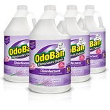Disinfectant Concentrate and Odor Eliminator by OdoBan – 128 Fl Oz (Pack of 4), Clear, Model 911101