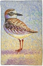 Wilson's Plover Kitchen Towel - 16x25