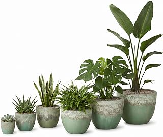 Emissary Home and Garden 28in. L x 24in. H Reef/Spa Blue Stoneware Round Planters with High-fire Treatment (Set of 6)