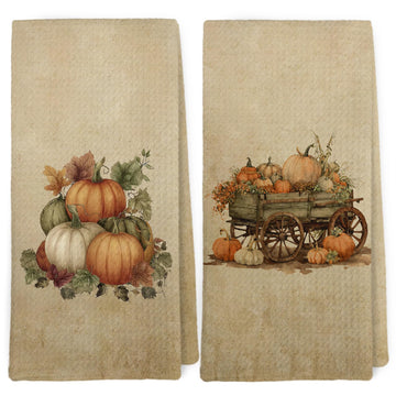 Dibor Cotton Dish Towels, 16x24 Inches, Fall Pumpkin