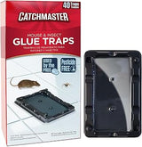 Catchmaster 40 Mouse & Insect Glue Traps, Heavy-Duty Pesticide-Free Sticky Mouse Traps Indoor for Home, Used by the PROs, Adhesive Rodent & Bug Catcher, Pest Control for House & Garage